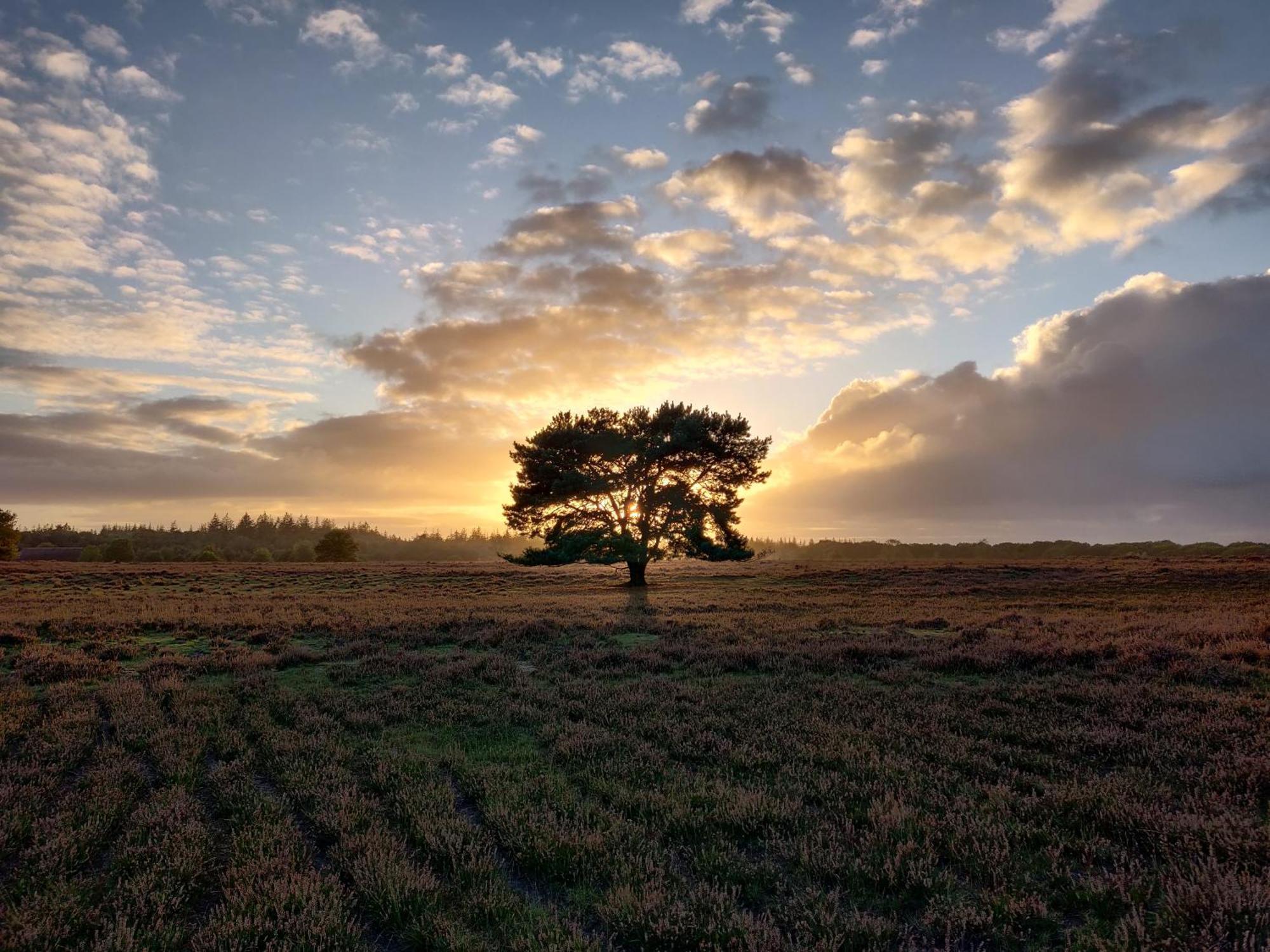 Cozy Tiny House Between Veluwe En Veluwemeer - With Free Use Of Bikes エルメロ エクステリア 写真